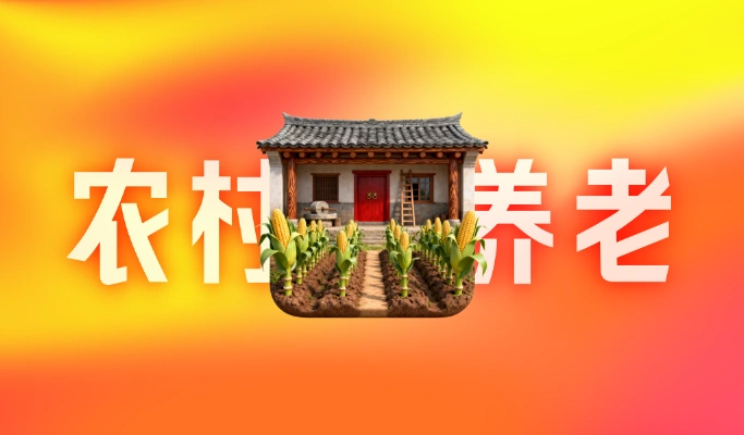 农村养老保险政策学习笔记：缴费、待遇与影响